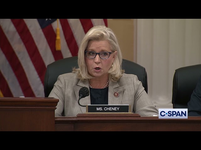 Rep. Liz Cheney Reads January 6th Texts from Fox News Hosts to Mark Meadows