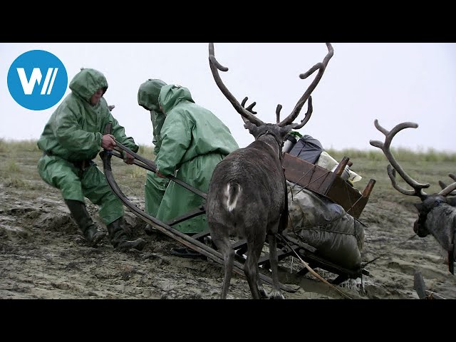 Die Polarschule der Nomadenkinder (360° - GEO Reportage)