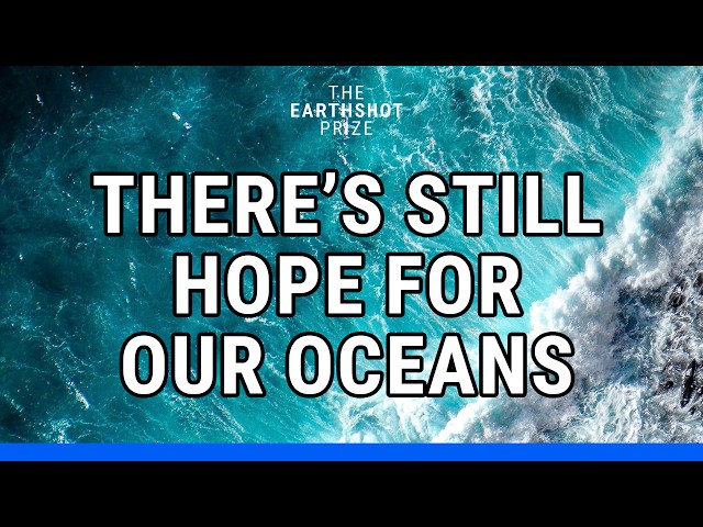 Can we fix the HUGE damage to our oceans? 🐟