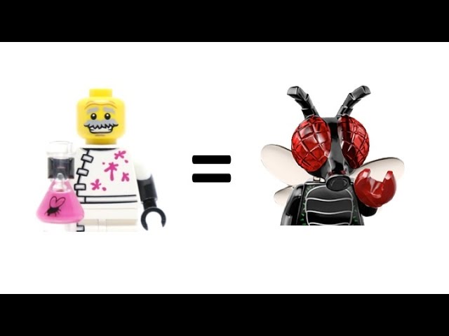 LEGO Fly Monster Transformation