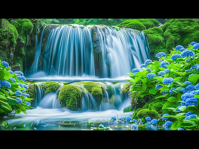 Soft Healing Music for Health and Calming of the Nervous System, Relief Stress, Deep Relaxation #8