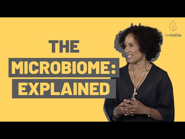 Why The Microbiome Is The Future Of Medicine | Dr. Robynne Chutkan | Revitalize