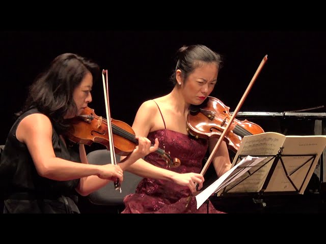 Beethoven String Quartet Op. 95 ‘Serioso’ - Allegro con brio