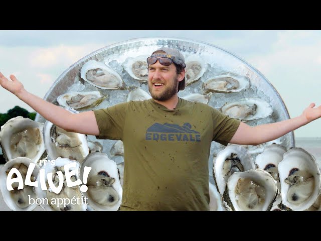 Brad Explores an Oyster Farm | It's Alive | Bon Appétit