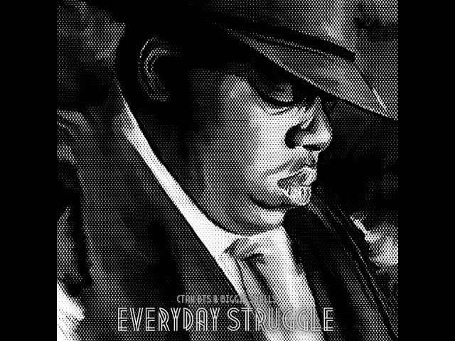 The Notorious B.I.G - "Everyday Struggle" (CTAH BTS REMIX)