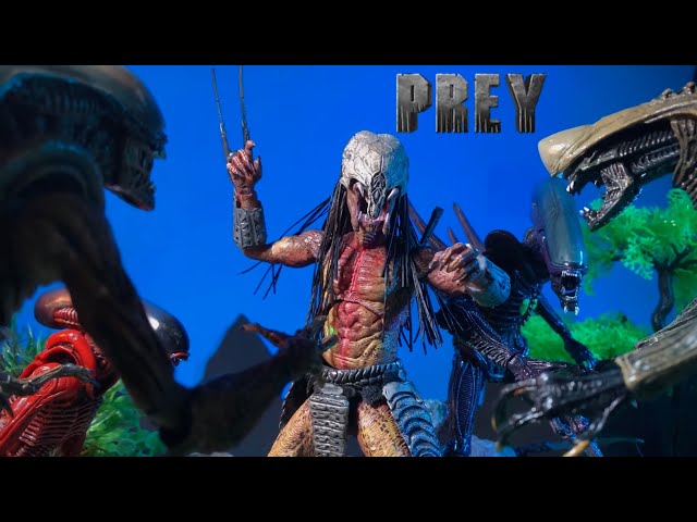 Feral Predator vs Razor Claw Alien, Chrysails alien, Arachnoid alien, scorpion alien an epic battle