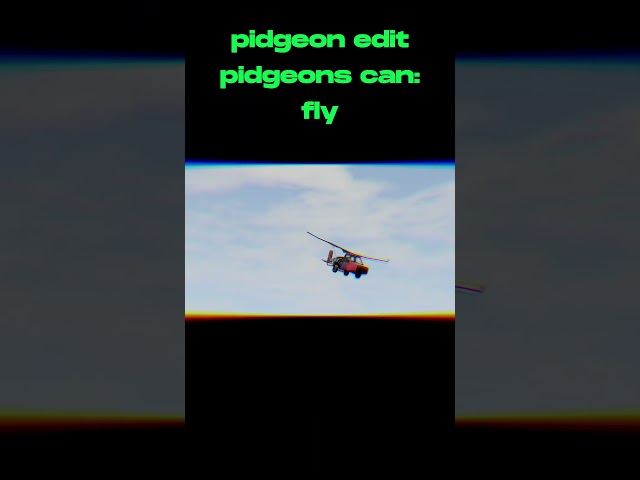 pigeon edit #beamngdrive #pidgeon #edit