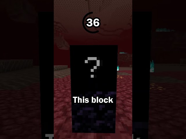 Guess the Minecraft block in 60 seconds 21