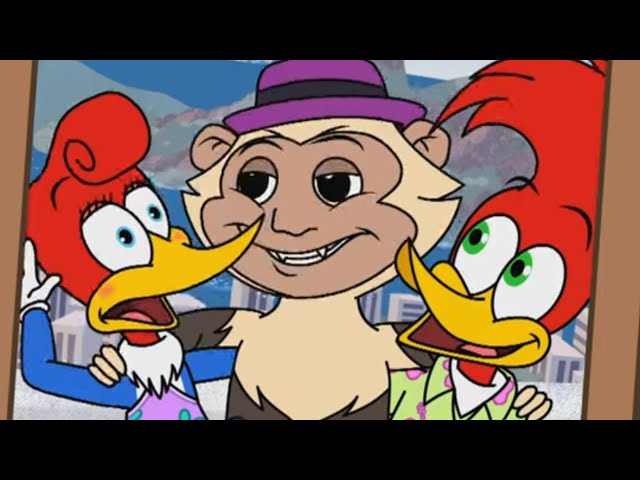Culparlo a Río de Janeiro | El Pájaro Loco | Dibujos animados para niños | WildBrain Niños