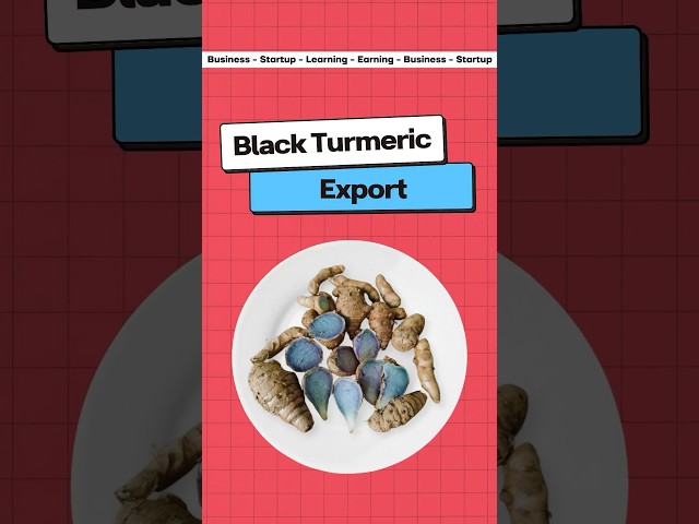 Black Turmeric Export 🤯🤯