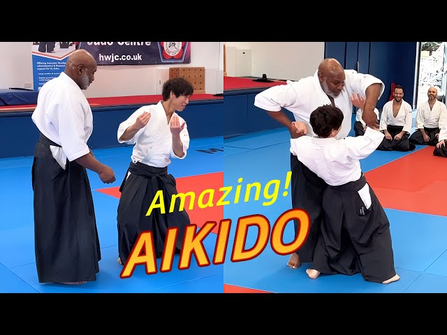 Amazing Aikido in the UK