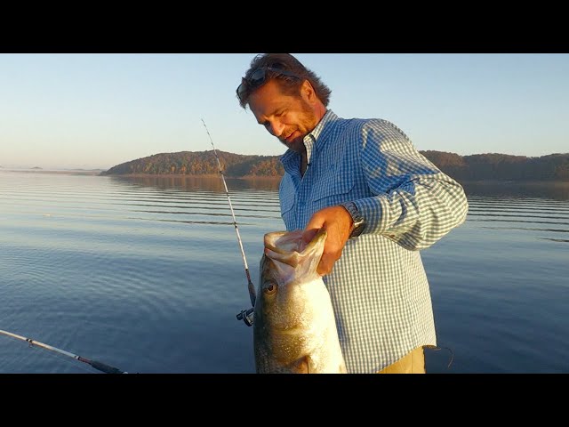 Lake Cumberland Striped Bass Fishing with Special Guest, Tim Farmer!