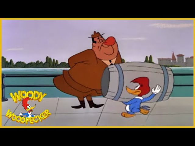 Woody Woodpecker | Niagara Fools | Full Episodes
