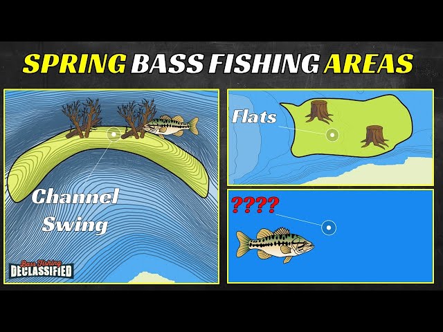 These Fishing Areas Hold Bass All Spring Long