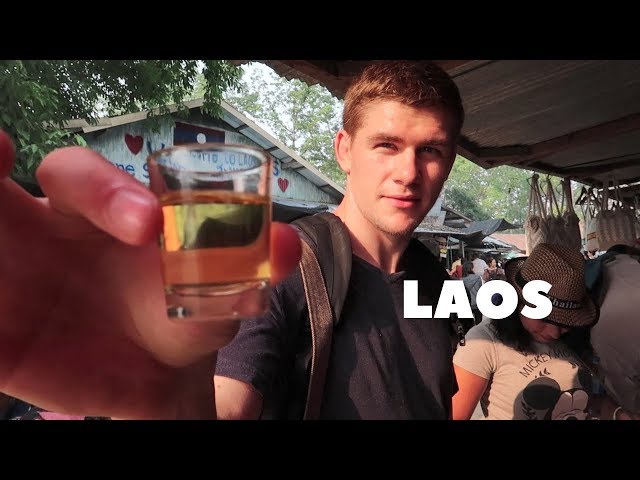 Thailand Vlog 8 White Templ Black Museum Laos
