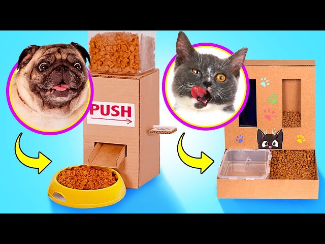 MAKE YOUR PET HAPPY || DIY Food Dispensers For Pets