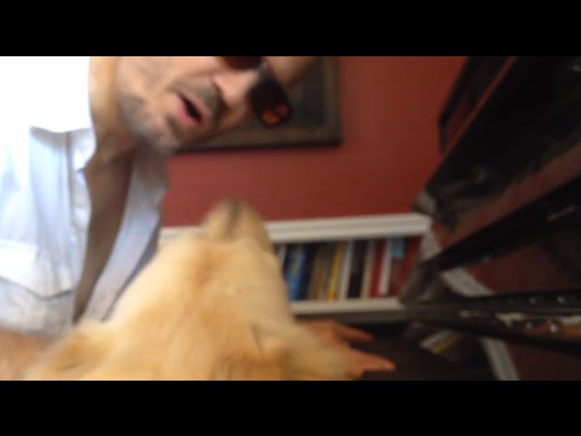 Jeff Bowron - Someone Like You [song cover] Dog Interrupts