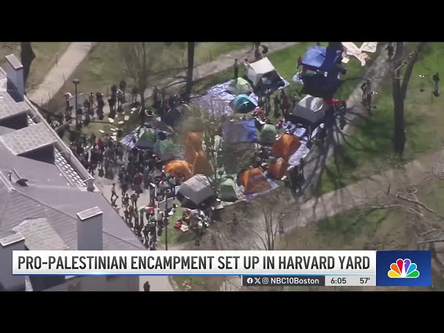 Stealing Harvard: News On The March # 7