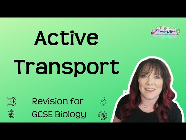 Active Transport | Revision for GCSE Biology