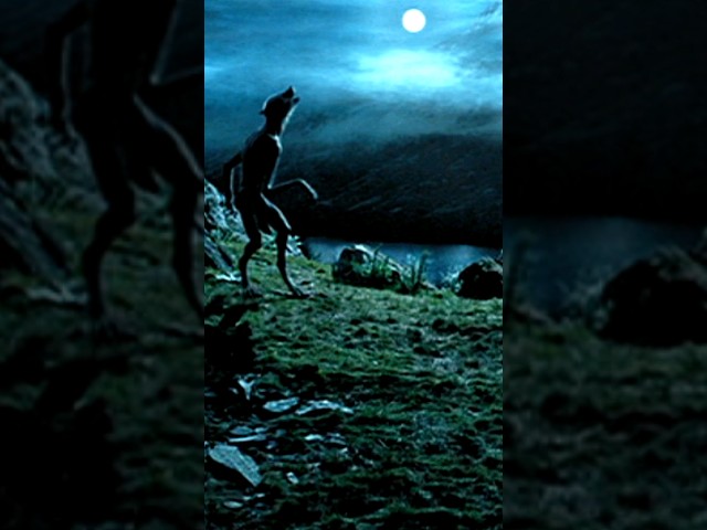 Harry Potter and The Prisoner of Azkaban (2004) Clip - Remus Lupin vs Sirius Black Scene