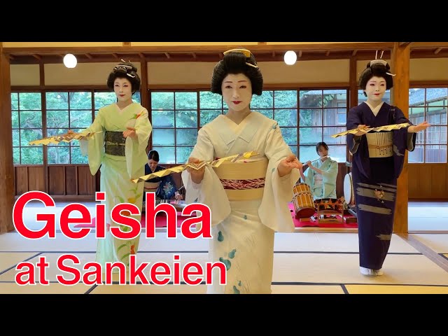 Geisha at Yokohama Sankeien / 横浜芸者 三溪園にて特別イベント #geisha
