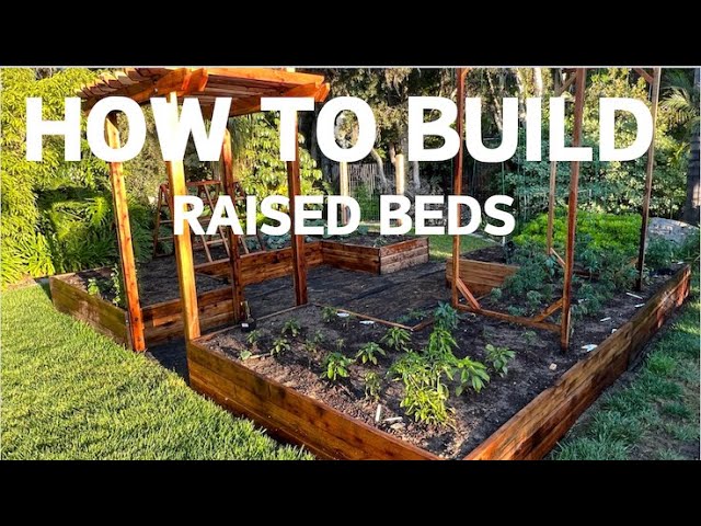 Giant Raised Garden beds (How to Build)