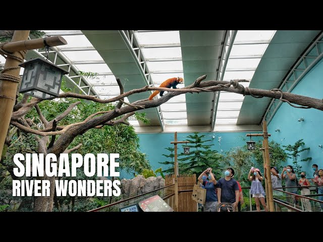 River Wonders Singapore Walking Tour (4K HDR)