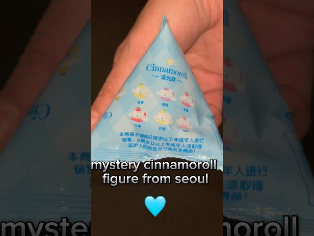I found a tiny mystery cinnamoroll 🩵 #seoulkorea #travelkorea #blindbags