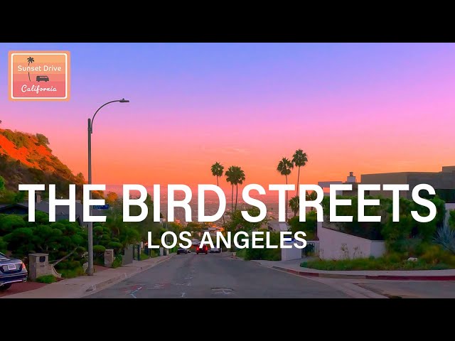 Driving at Sunset | The Bird Streets - Beverly Hills - Rodeo Drive | Relaxing Immersive | HDR 60fps