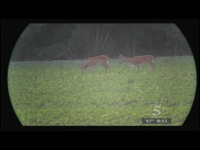 Southern Woods and Waters: Opening Day Deer Hunt