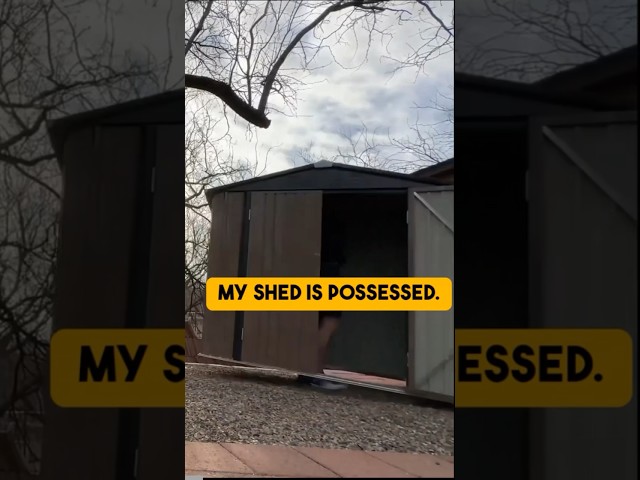 ⬆️ Full Review ⬆️ #StorageShed #Speedbuild #Shorts