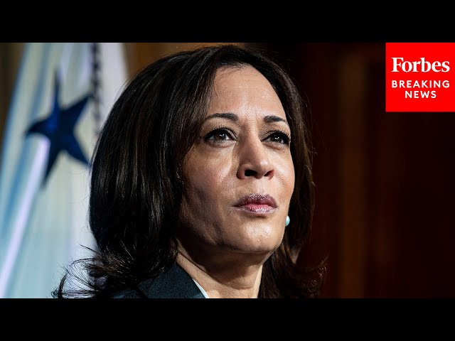 Watch Some Of Kamala Harris' Most Memorable Moments In First Year As VP | 2021 Rewind