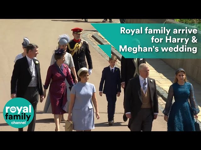 Princess Beatrice, Eugenie, Princess Anne, Prince Edward arrive at Royal Wedding