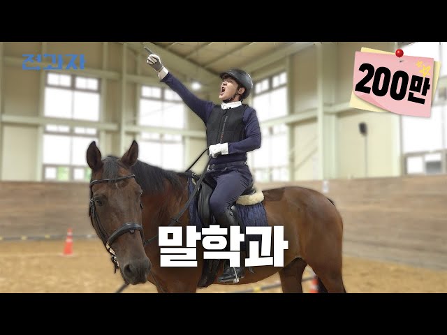 Major packed with horses [Univ of Agriculture&Fisheries Horse Industry Major] | Jeongwaja ep.36