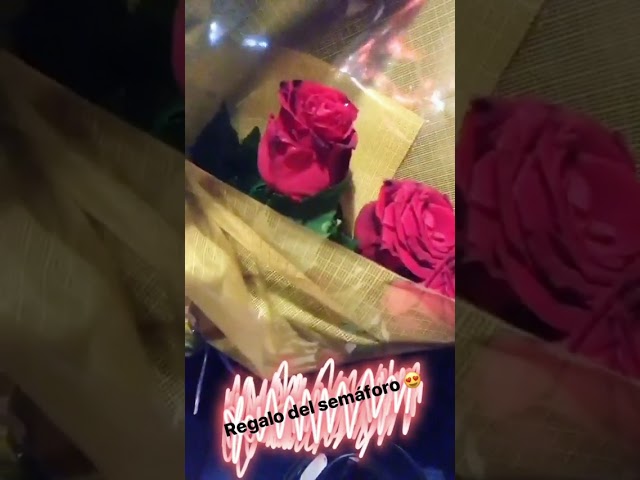 Barbie Vélez recibió un ramo de rosas