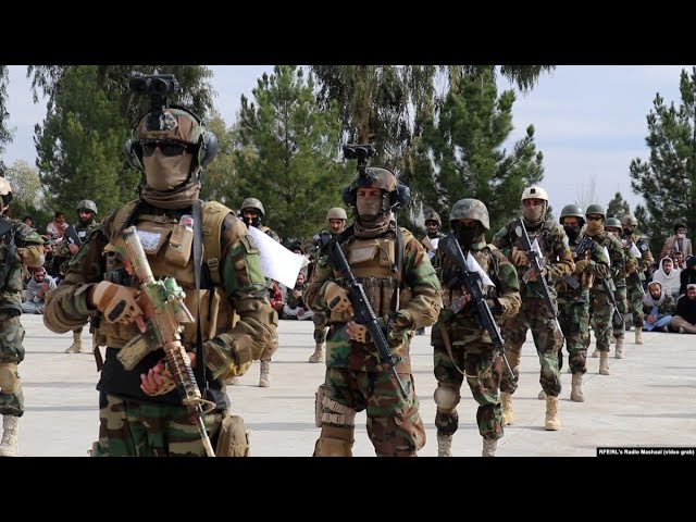 Taliban Turns Insurgents Into Commandos As It Builds 'Fully Capable' Army