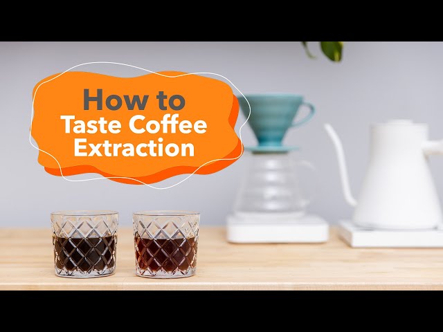How To Taste Coffee Extraction | Advanced Brewing Skills Lab 2