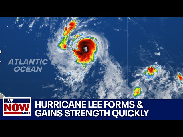 Hurricane Lee expected to strengthen quickly, become major storm by weekend | LiveNOW from FOX