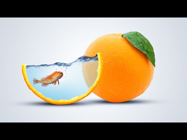 Photo Manipulation in Photoshop | Orange and Fish