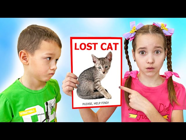 Sofia and the cats are lost!
