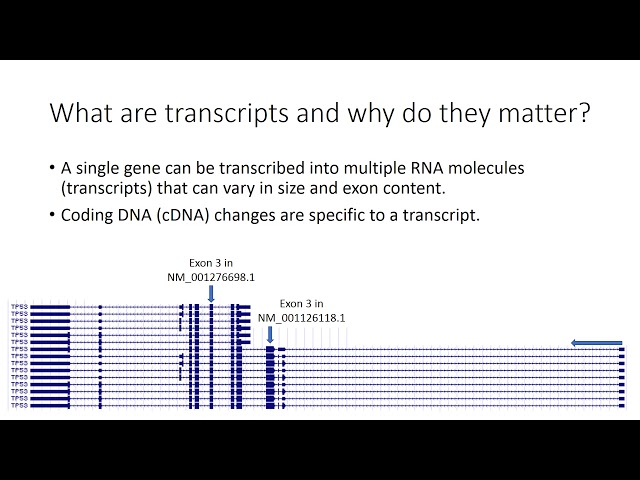Introduction to Genome Builds and Transcripts