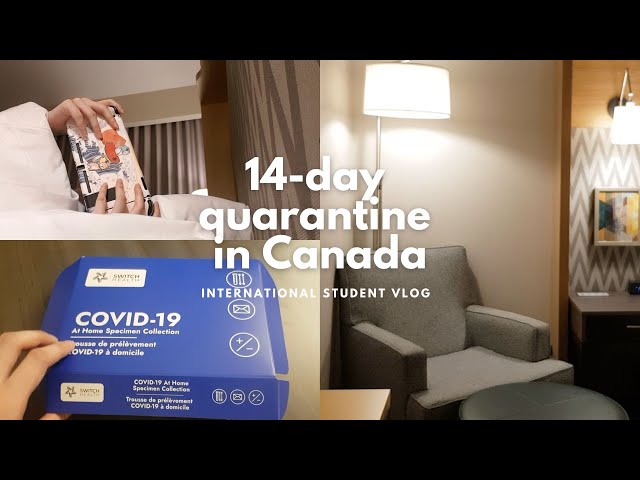 14-day quarantine at a hotel in Canada | everyday food, day 8 COVID test, online classes