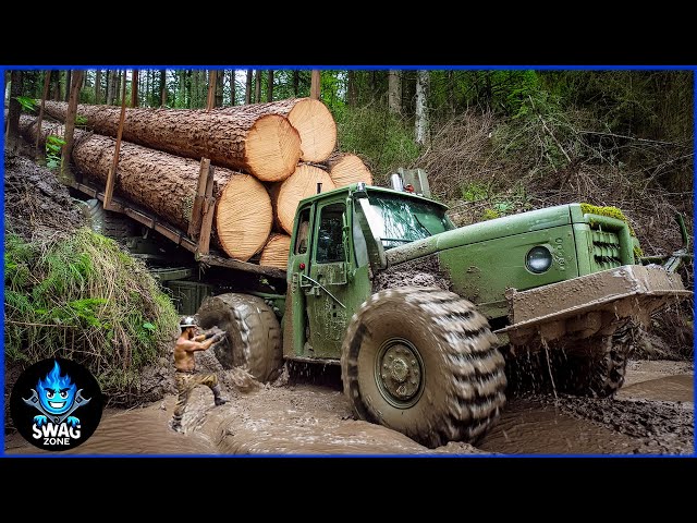 50 EXTREME Dangerous Biggest Wood Logging Truck  Operator Skill Working At Another Level