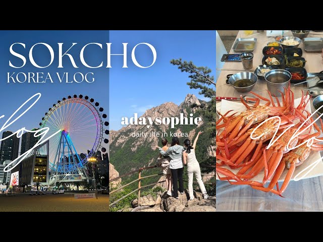 🇰🇷 Trip to Korea, Sokcho vlog! (2 nights, 3 days)