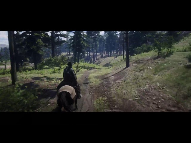 Following all the traffic laws in Red Dead Online Cinematic ASMR Longplay