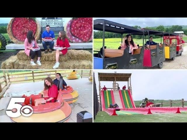 Berry-filled fun at Rivercrest Orchard | Around the Corner