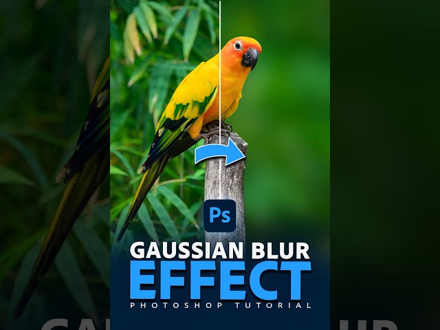 Blur background in photo with Photoshop