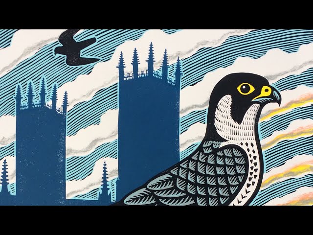 An Interview with Gerard Hobson, Artist about his lino-print of the Peregrines of York Minster
