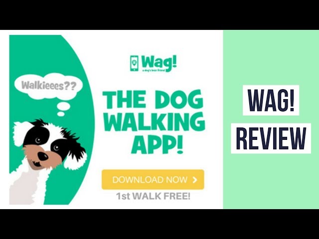 Wag Dog Walking  Review ► Dog Walking App Wag! ◄ On Demand Dog Walking Sitting Boarding