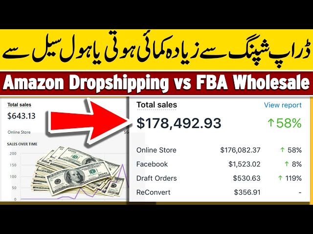 Dropshipping Se Earning Zyada Hoti Hai Ya FBA Wholesale Se | Wholesale vs Dropshipping | Albarizon